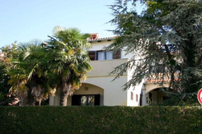 Apartments in Rovinj/Istrien 11528